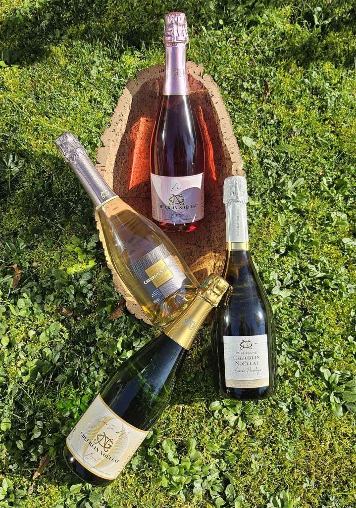 Nos champagnes avec leur nouvel habillage Bar-sur-Seine